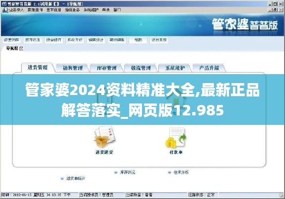 管家婆2024资料精准大全,最新正品解答落实_网页版12.985