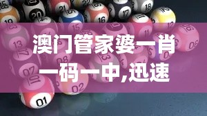 澳门管家婆一肖一码一中,迅速解答问题_DX版10.251