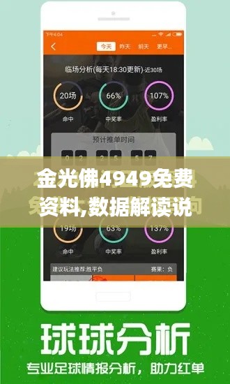 金光佛4949免费资料,数据解读说明_战斗版3.988