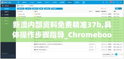 新澳内部资料免费精准37b,具体操作步骤指导_Chromebook2.317