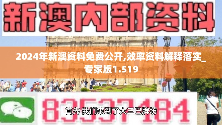 2024年新澳资料免费公开,效率资料解释落实_专家版1.519