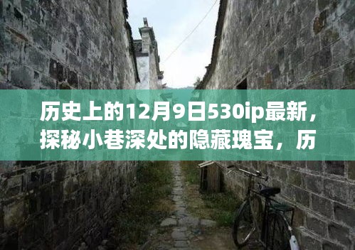 探秘历史回响中的隐藏瑰宝，十二月故事之小巷深处的特色小店（最新更新，历史上的12月9日）