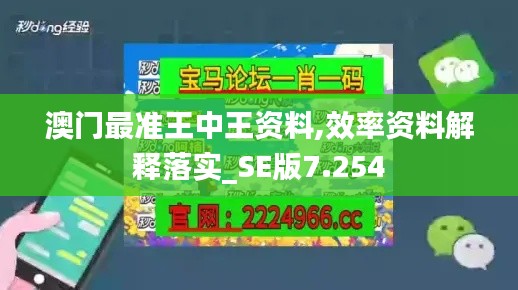 澳门最准王中王资料,效率资料解释落实_SE版7.254