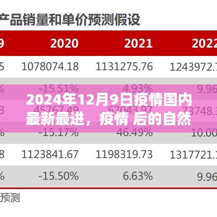 疫情后的自然之旅，探索美景，寻找内心的宁静（最新进展报告，2024年12月9日）