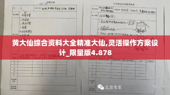 黄大仙综合资料大全精准大仙,灵活操作方案设计_限量版4.878