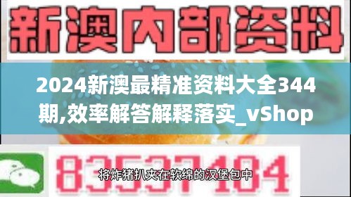 2024新澳最精准资料大全344期,效率解答解释落实_vShop4.212