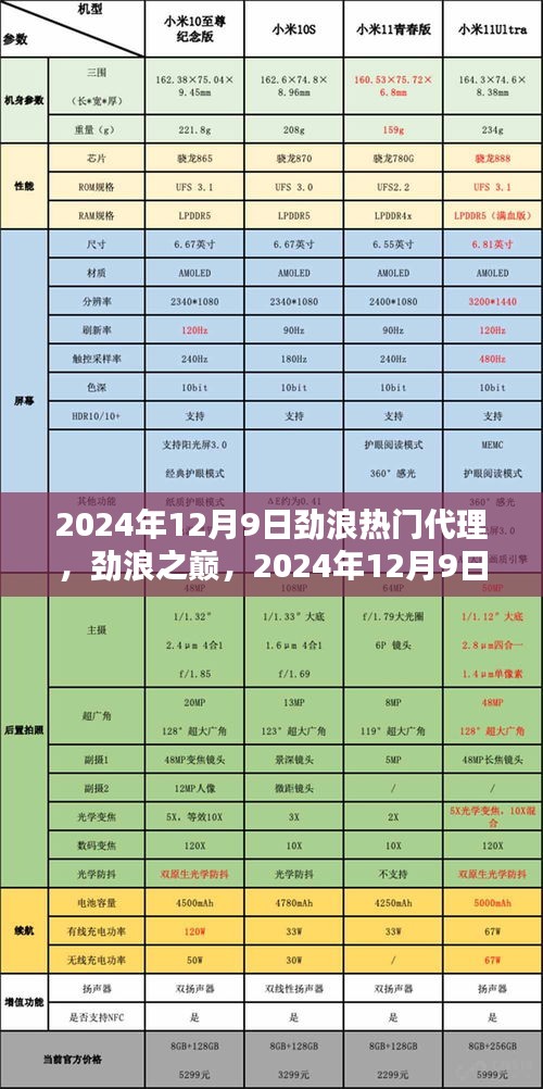 劲浪热门代理崛起，劲浪之巅与影响，2024年12月9日