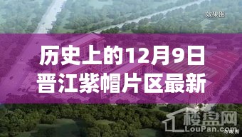 晋江紫帽片区12月9日最新消息揭秘，历史与现状重磅更新