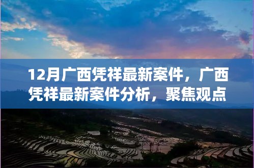 广西凭祥最新案件深度解析与观点聚焦探讨