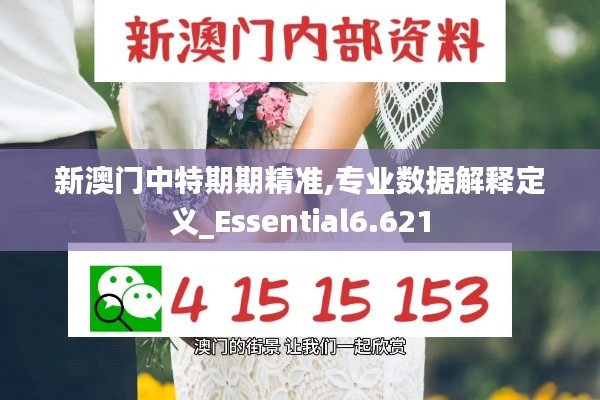 新澳门中特期期精准,专业数据解释定义_Essential6.621