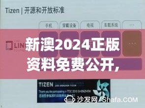 新澳2024正版资料免费公开,灵活设计操作方案_Tizen19.917