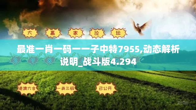 最准一肖一码一一子中特7955,动态解析说明_战斗版4.294