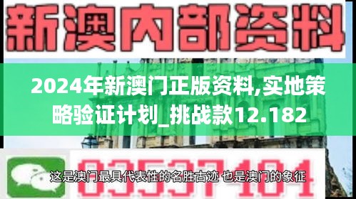 2024年新澳门正版资料,实地策略验证计划_挑战款12.182