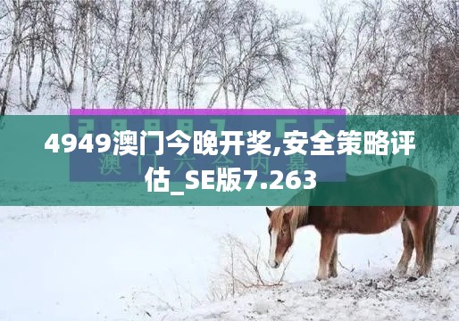 4949澳门今晚开奖,安全策略评估_SE版7.263