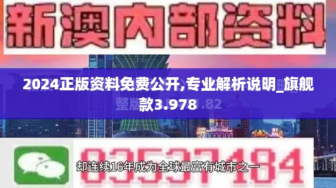 2024正版资料免费公开,专业解析说明_旗舰款3.978