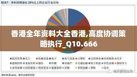 香港全年资料大全香港,高度协调策略执行_Q10.666