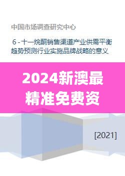 2024新澳最精准免费资料,平衡实施策略_6DM14.315