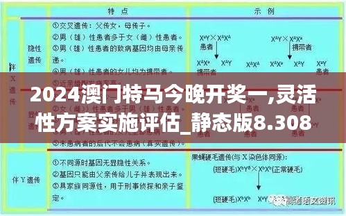 2024澳门特马今晚开奖一,灵活性方案实施评估_静态版8.308