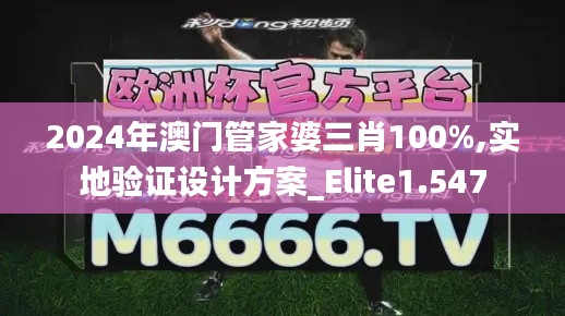 2024年澳门管家婆三肖100%,实地验证设计方案_Elite1.547