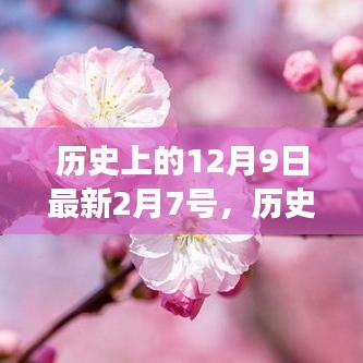 探寻特殊日期的故事，历史上的十二月九日与最新二月七日回顾