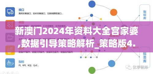 新澳门2024年资料大全宫家婆,数据引导策略解析_策略版4.733