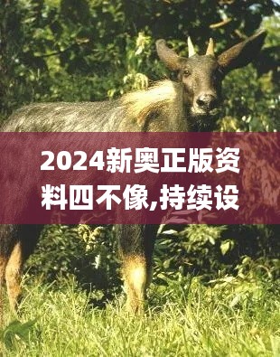 2024新奥正版资料四不像,持续设计解析方案_P版9.948