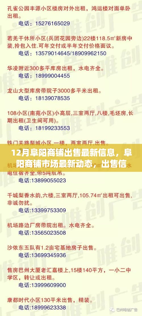 阜阳商铺市场最新动态，出售信息分析与个人立场阐述