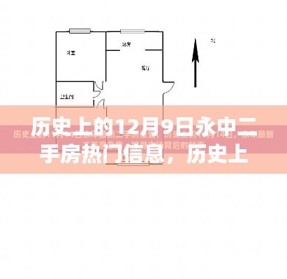 历史上的12月9日永中二手房市场动态解析，交易热点、购房指南与热门信息回顾