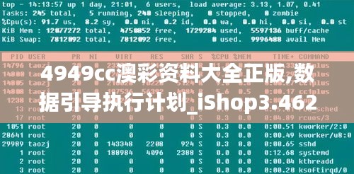 4949cc澳彩资料大全正版,数据引导执行计划_iShop3.462