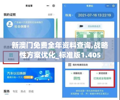 新澳门免费全年资料查询,战略性方案优化_标准版1.405