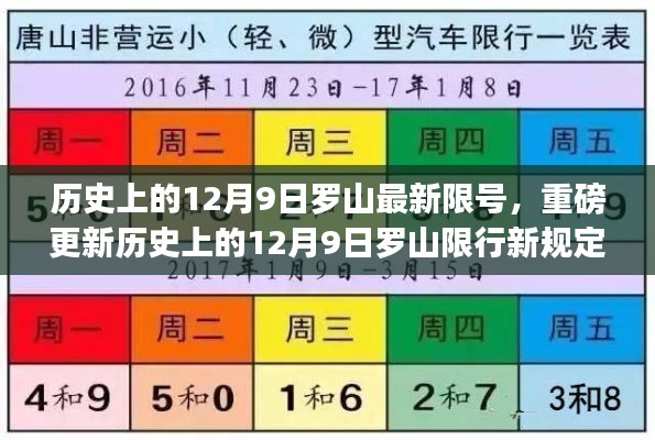 揭秘历史上的12月9日罗山限行新规定🚦重磅限号限行更新揭秘！