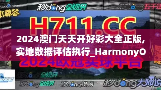 2024澳门天天开好彩大全正版,实地数据评估执行_HarmonyOS6.568