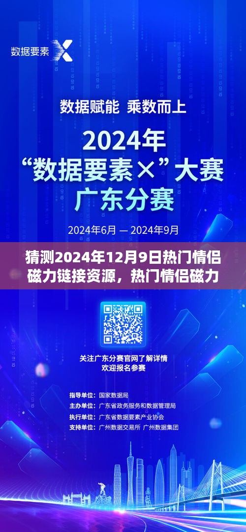 2024年情侣磁力链接资源预测与解析，情侣之夜体验报告