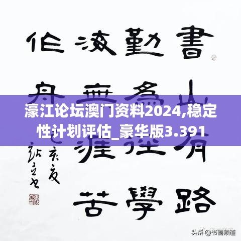 濠江论坛澳门资料2024,稳定性计划评估_豪华版3.391