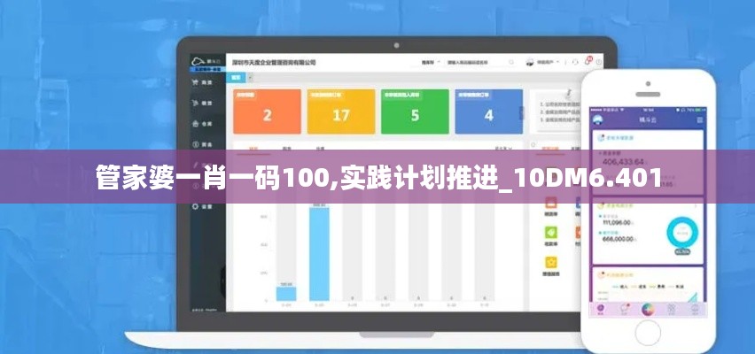 管家婆一肖一码100,实践计划推进_10DM6.401