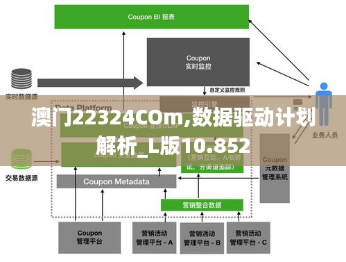 澳门22324COm,数据驱动计划解析_L版10.852