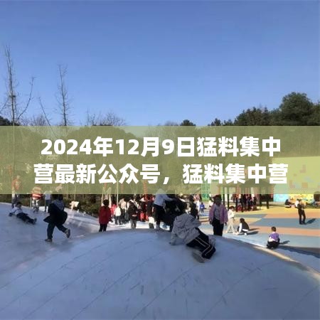 猛料集中营公众号回顾，独特篇章下的2024年12月9日展望