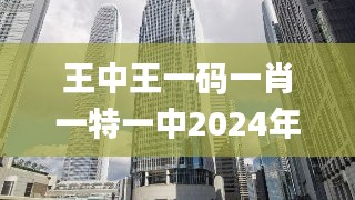 王中王一码一肖一特一中2024年,系统化评估说明_pack1.267