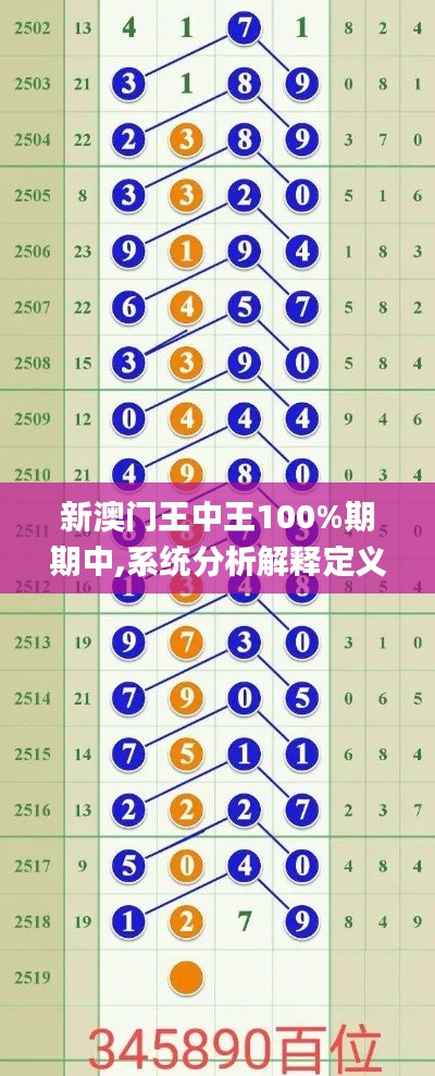 新澳门王中王100%期期中,系统分析解释定义_特供款6.913