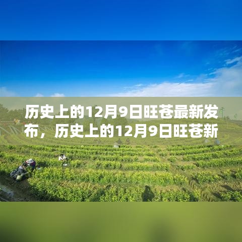 历史上的12月9日旺苍揭秘，值得铭记的瞬间与新篇章开启