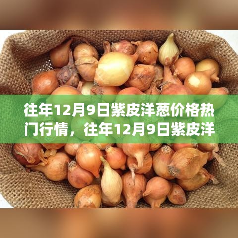 往年12月9日紫皮洋葱市场行情深度解析，市场走势、个人立场与价格热议