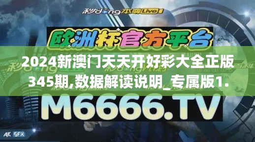 2024新澳门天天开好彩大全正版345期,数据解读说明_专属版1.437