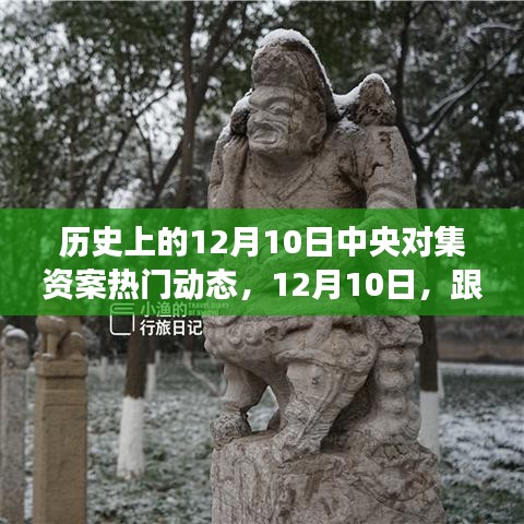 揭秘历史集资案动态，探寻自然美景之旅，寻找内心宁静与力量