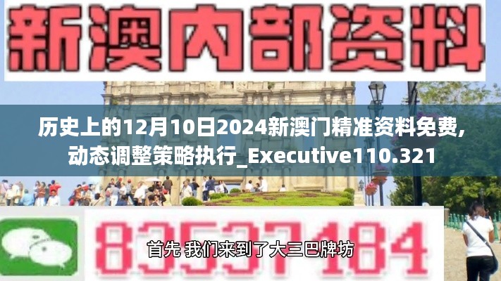 历史上的12月10日2024新澳门精准资料免费,动态调整策略执行_Executive110.321