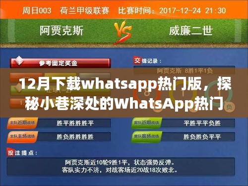 探秘小巷深处的WhatsApp热门版宝藏店，数字奇遇的十二月探秘之旅