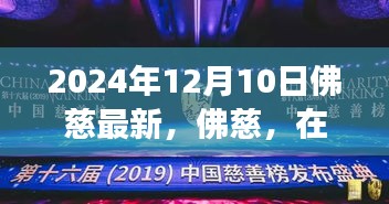 佛慈印记，回顾辉煌历程，展望未来发展 —— 2024年佛慈最新动态