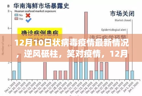 12月10日状病毒疫情最新进展，逆风中的成长之路与笑对疫情的砥柱力量