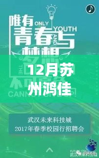 苏州鸿佳电子科技招聘启事，探索自然美景之旅，寻找内心的宁静与平和