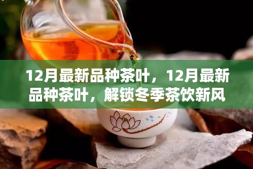 解锁冬季茶饮新风尚，探索十二月最新茶叶品种