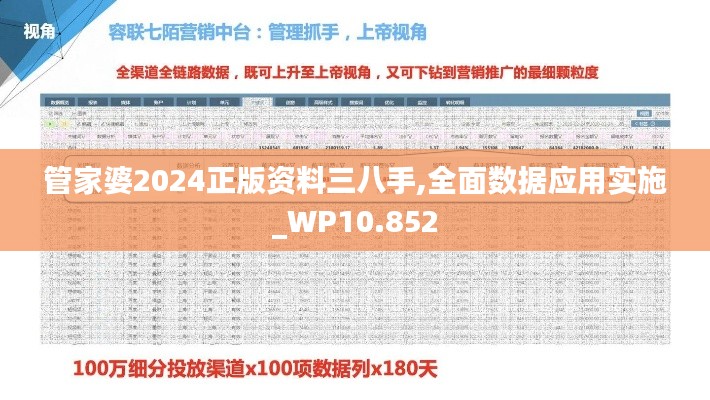 管家婆2024正版资料三八手,全面数据应用实施_WP10.852